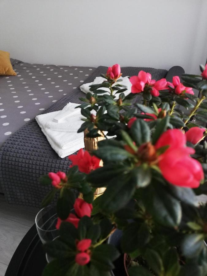 Marlen'S Apartment Bucureşti Ngoại thất bức ảnh